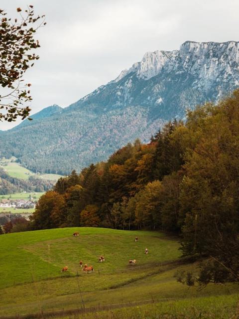 Das Luegstein Kiefersfelden Exterior foto